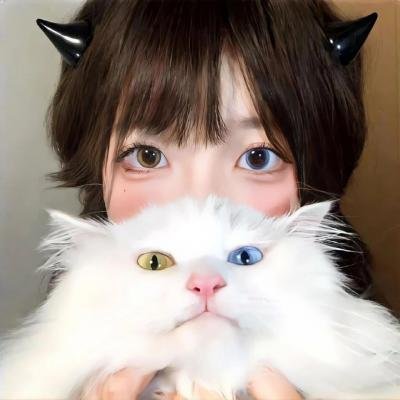 禁宫龙虎斗